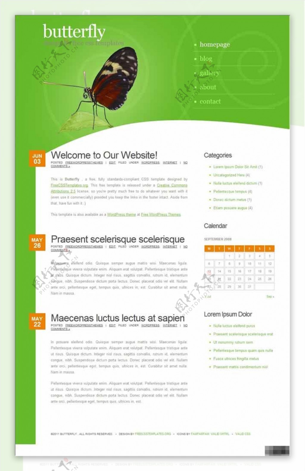 绿之蝶个性信息网页模板