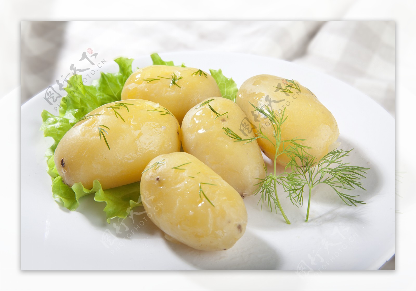 咖喱土豆怎么做_咖喱土豆的做法_蓝纹乳酪_豆果美食