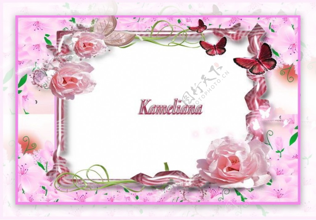 玫瑰丝带花纹照片相框