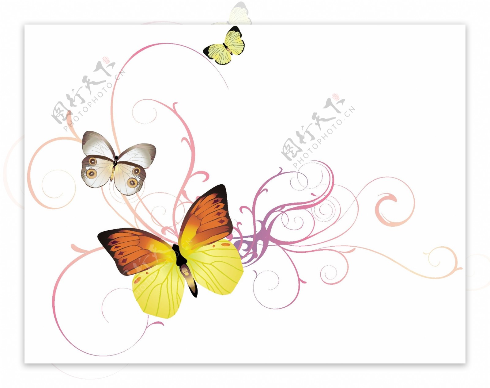 印花矢量图动物蝴蝶色彩白色免费素材