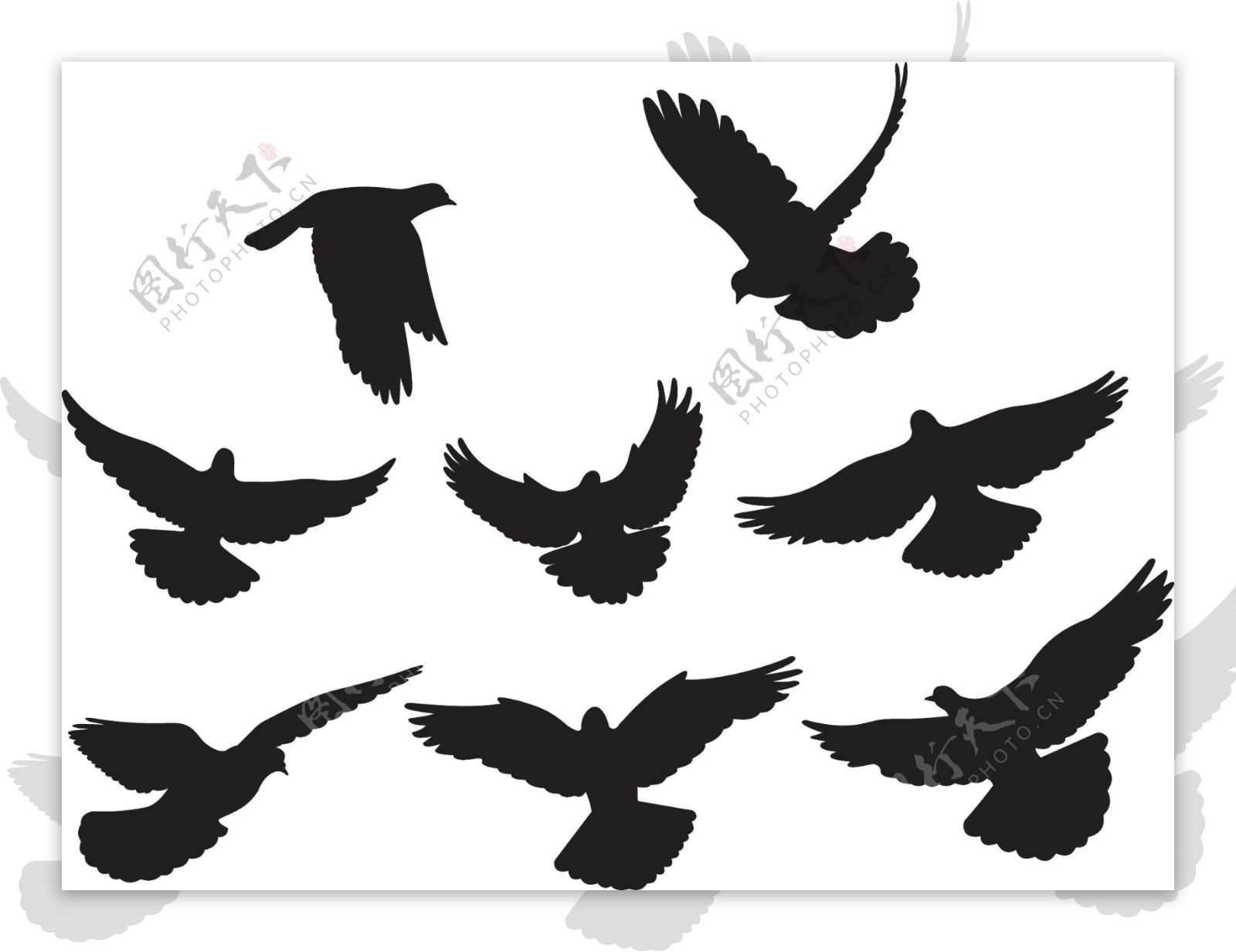 6黑色和白色的鸽子或剪影矢量素材