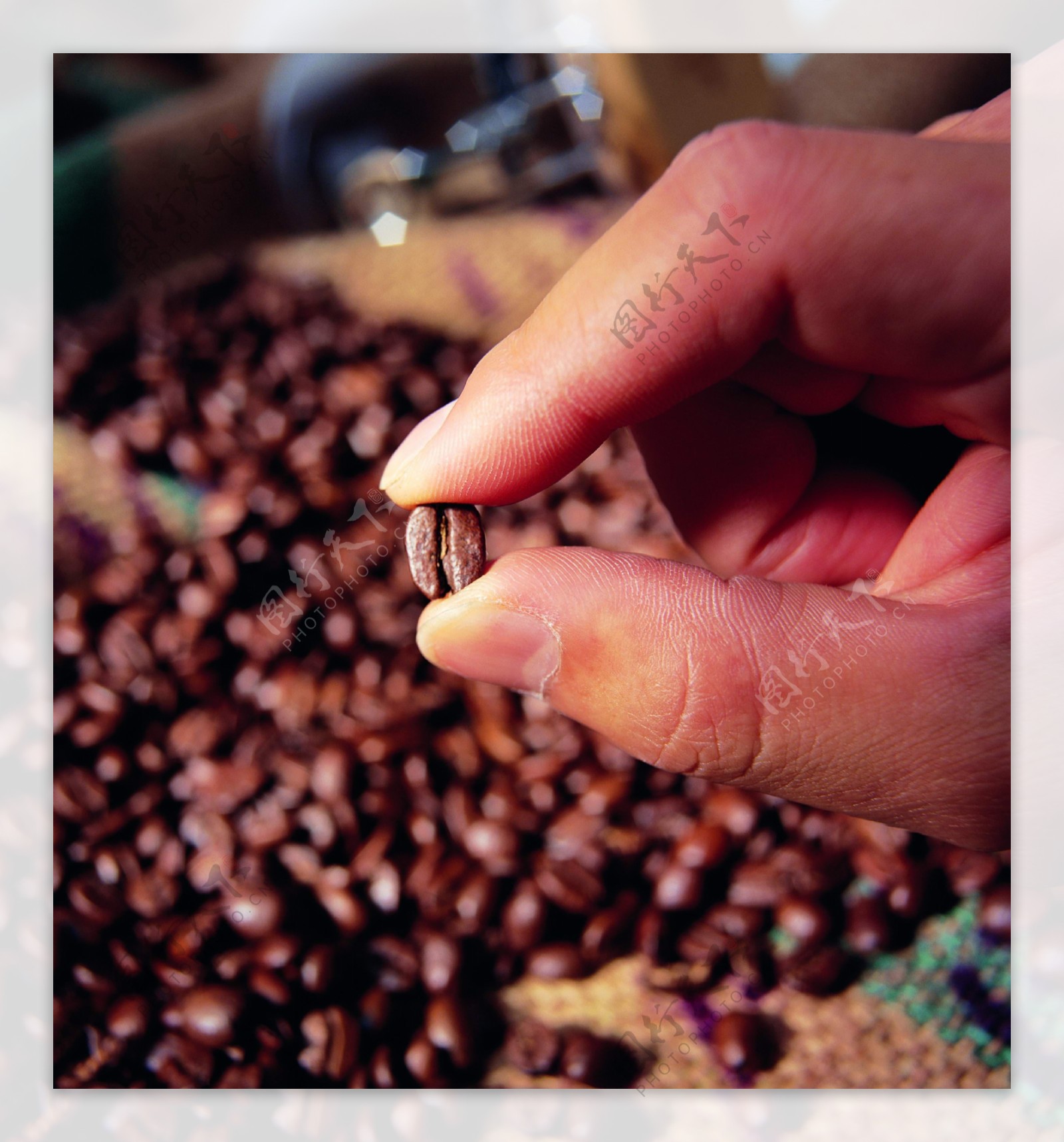 原产地高级咖啡豆