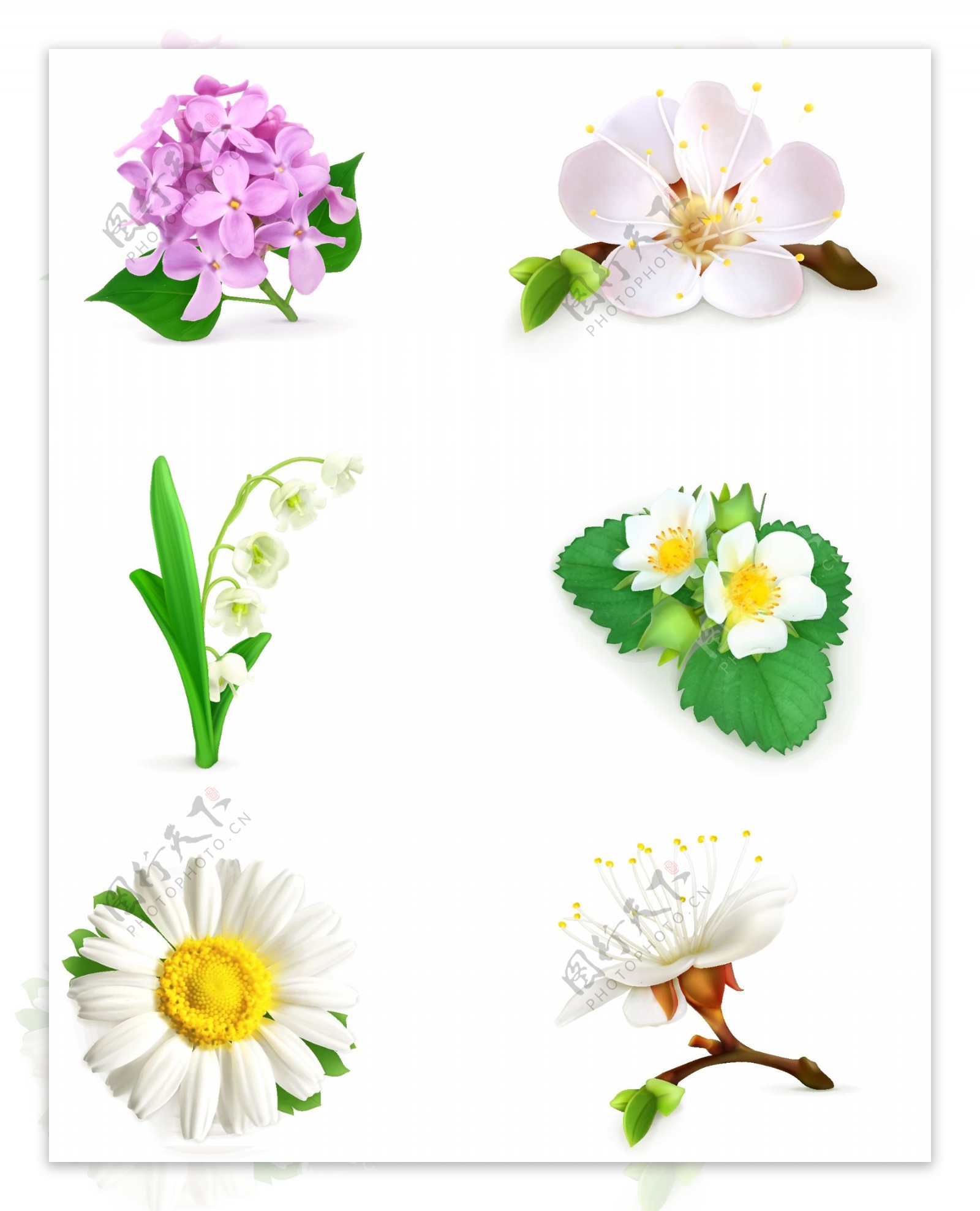 6款精美花卉设计矢量素材