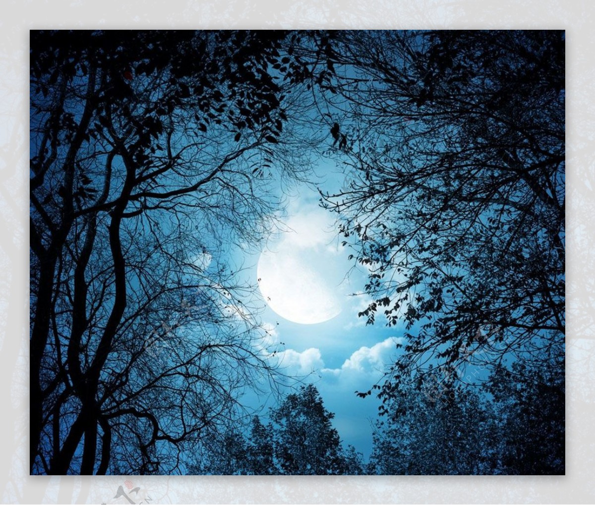 夜晚漂亮月光