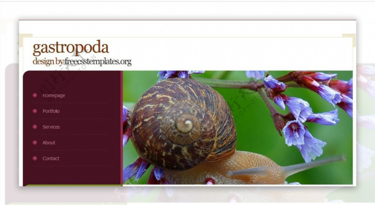 我是蜗牛个人网页模板