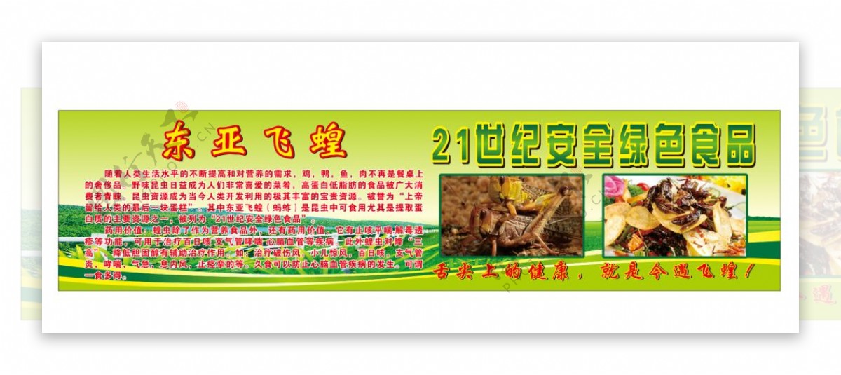 东亚飞蝗绿色食品海报