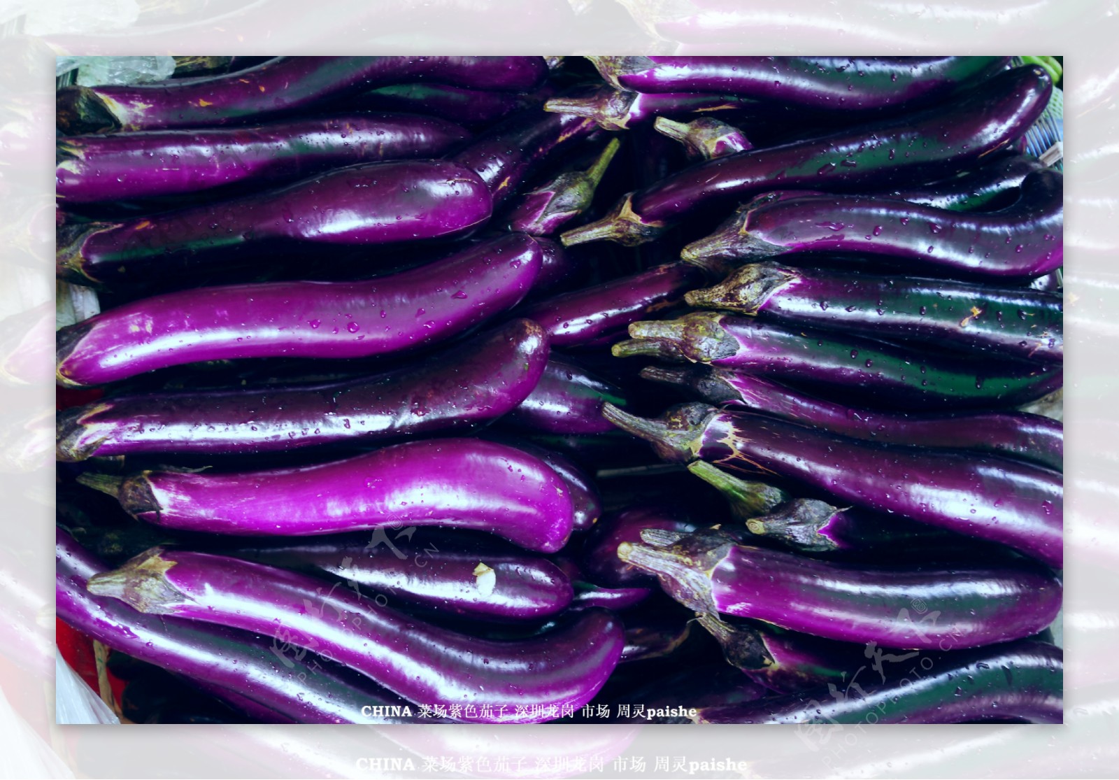 紫色茄子蔬菜食品图片