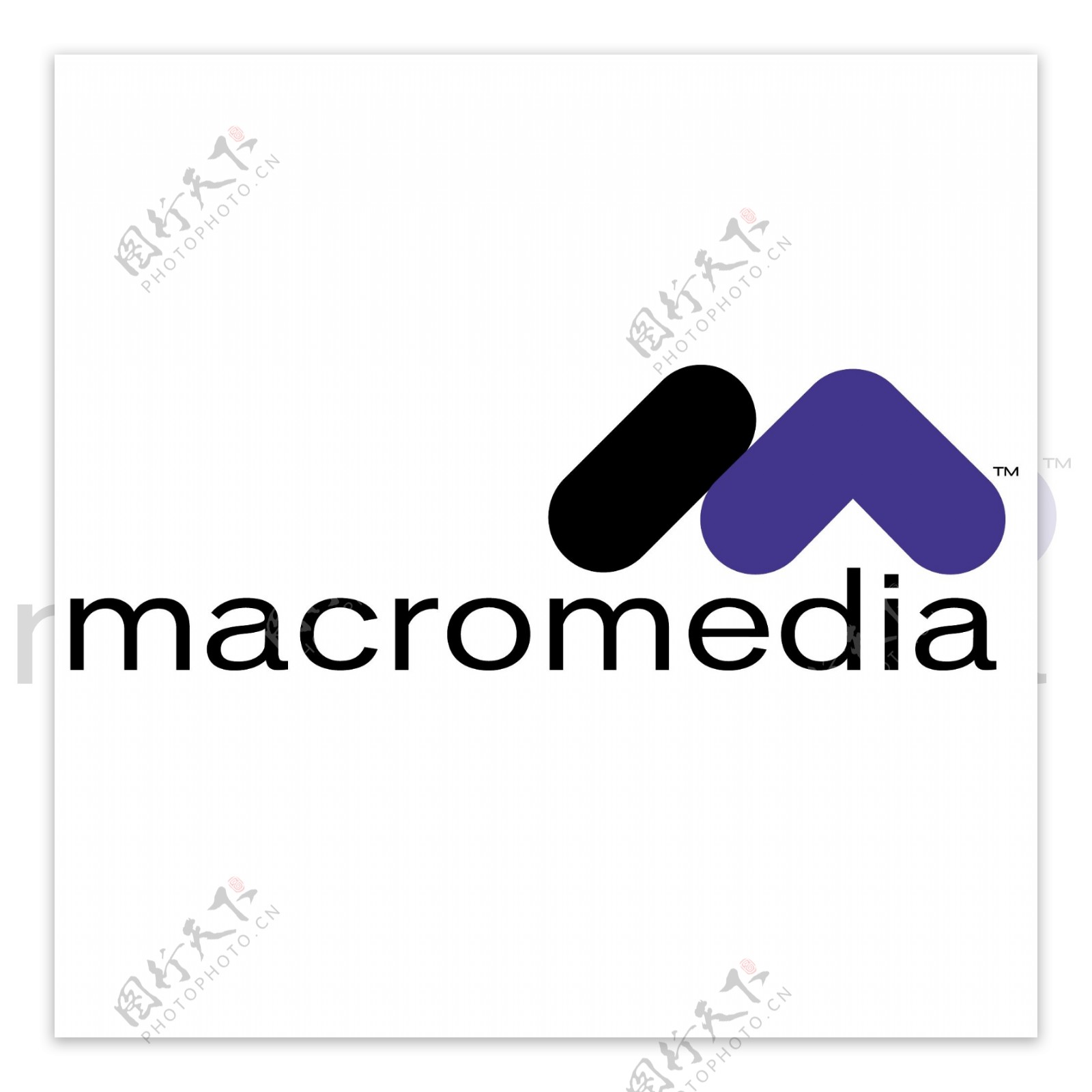 Macromedia2