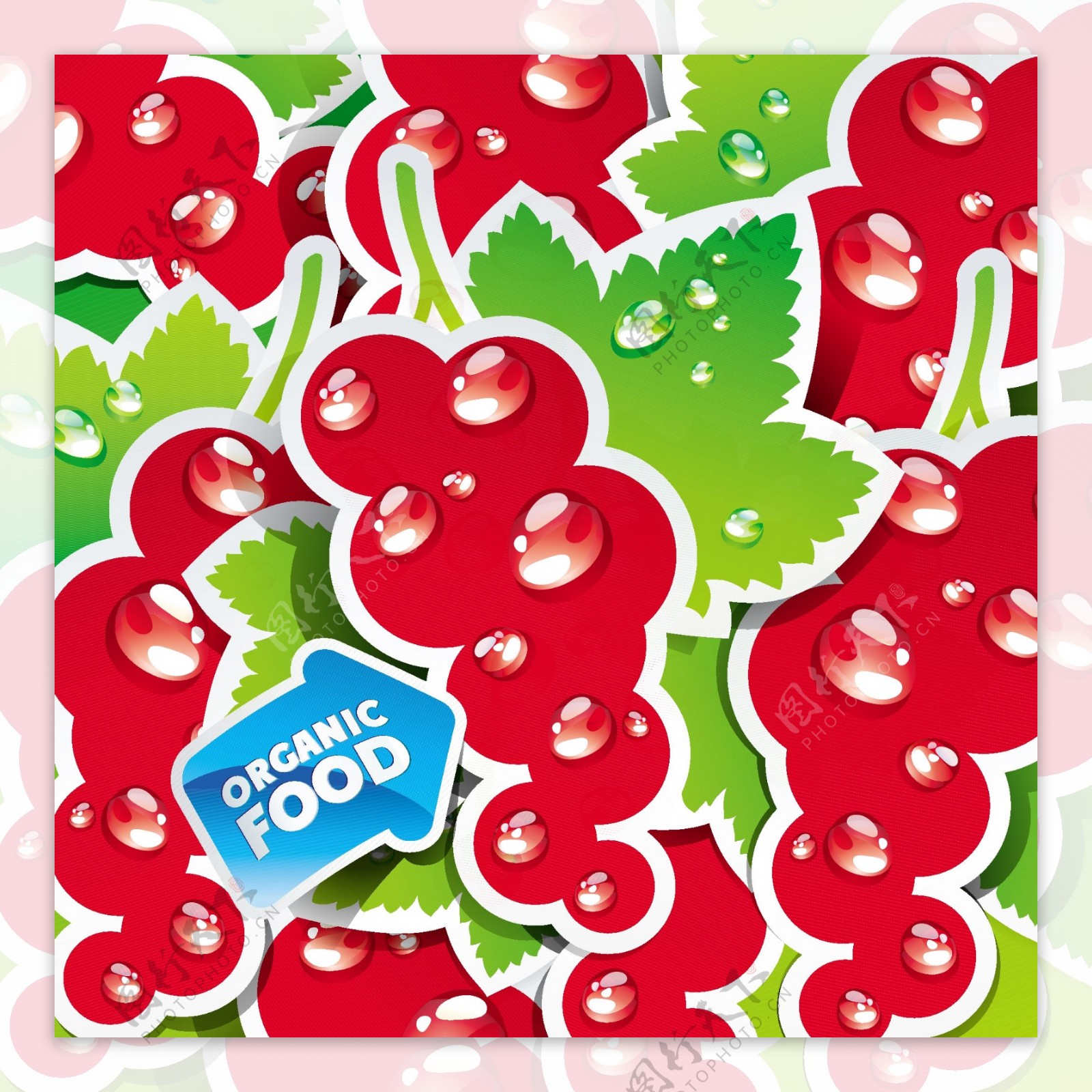 可爱水果label标签图片