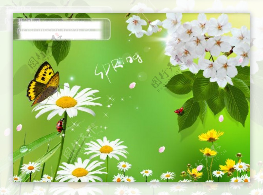 清新植物蝴蝶花卉PSD分层模板蝴蝶花朵蝴蝶花朵花卉分层模板