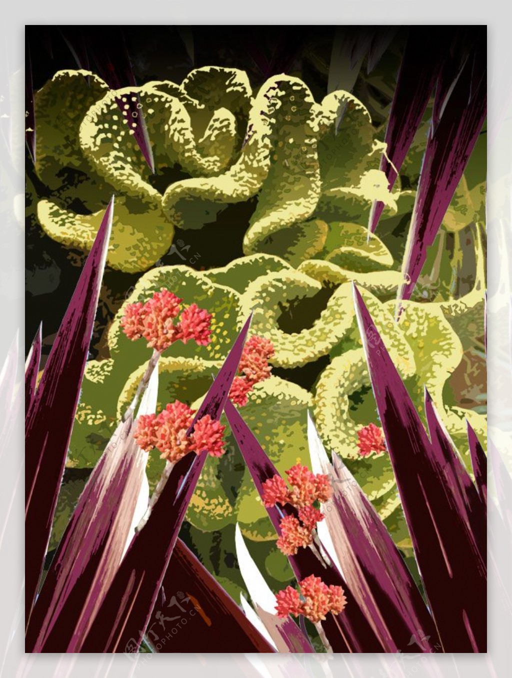 位图植物插画优雅植物色彩红色免费素材