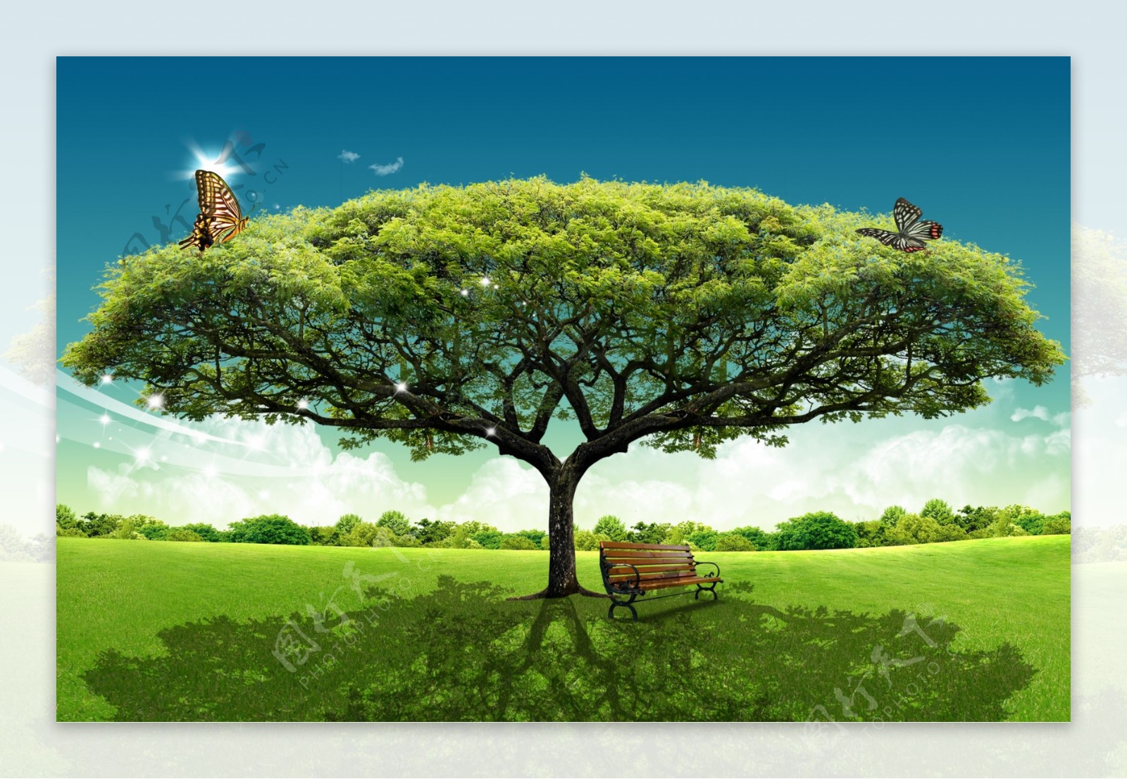创意海报分层PSD素材庇荫大树