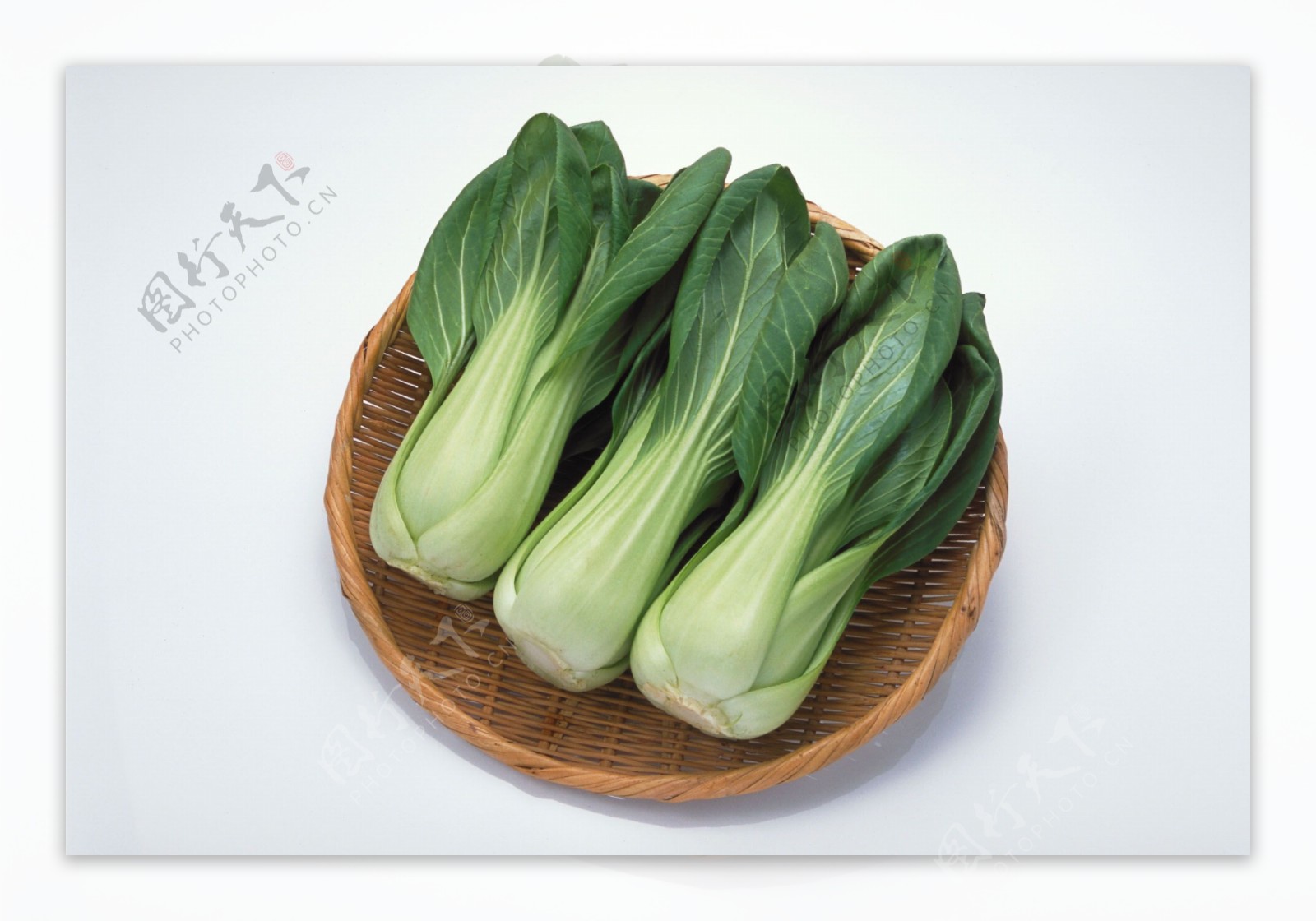 上海青 摄影图__蔬菜_生物世界_摄影图库_昵图网nipic.com