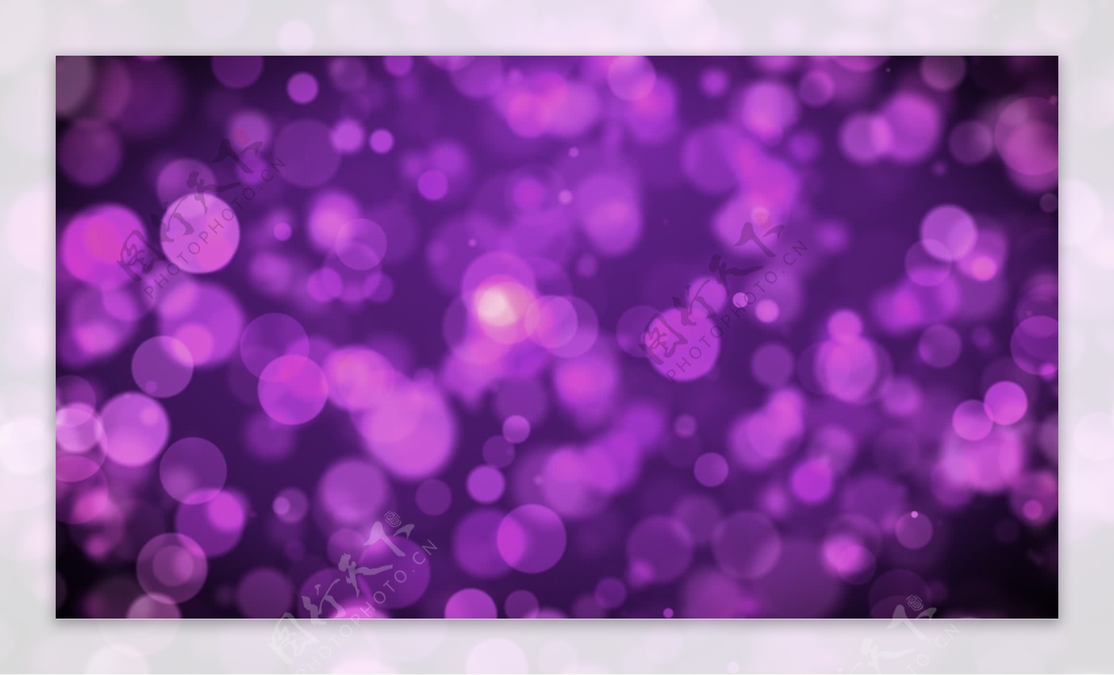 紫色的粒子运动背景的背景视频免费下载