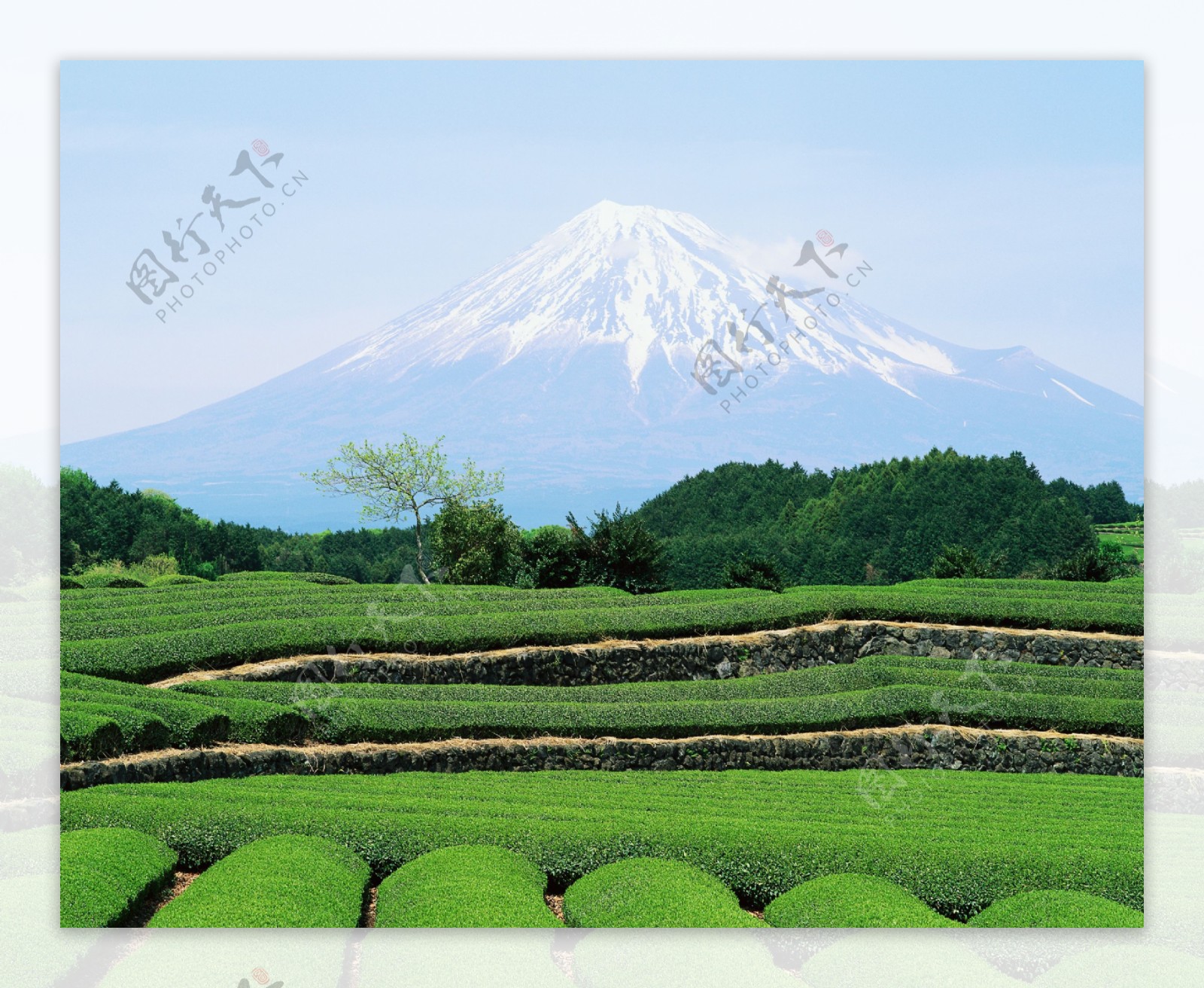 富士山