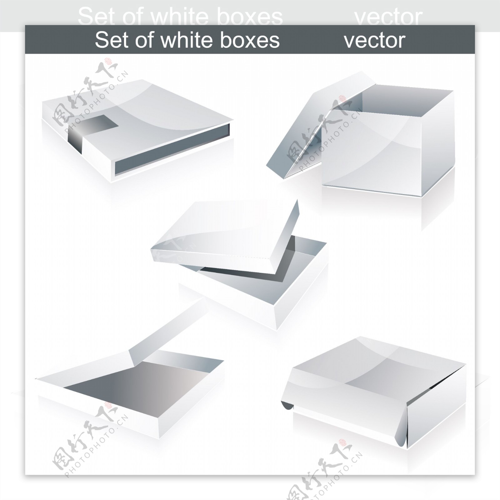 白色纸箱