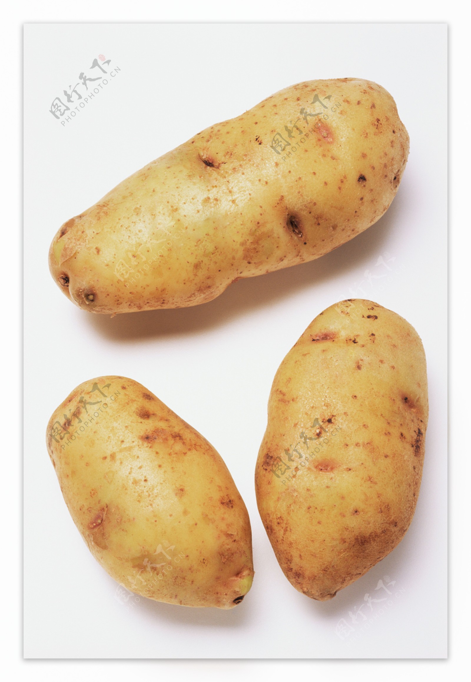 土豆摄影图片