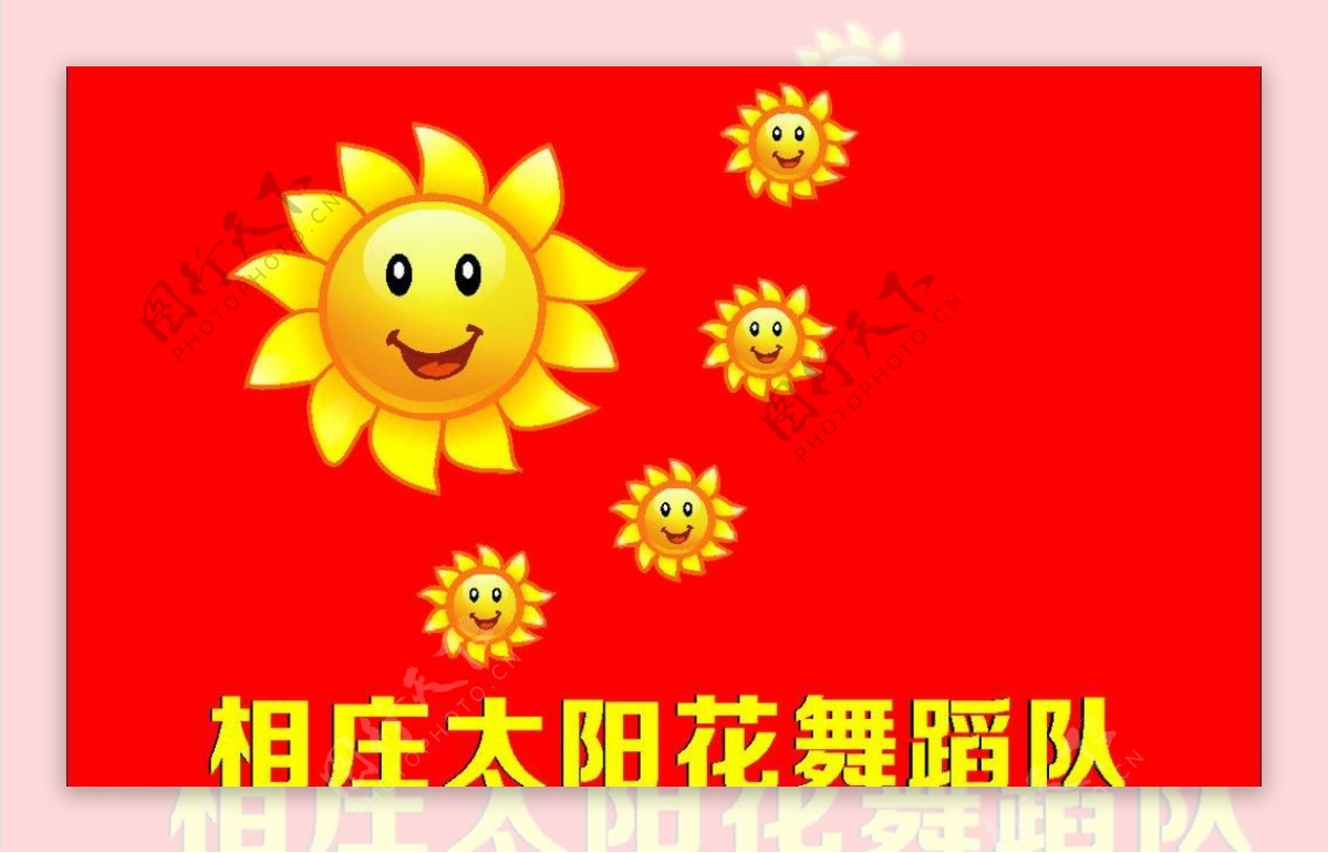 太阳花图片