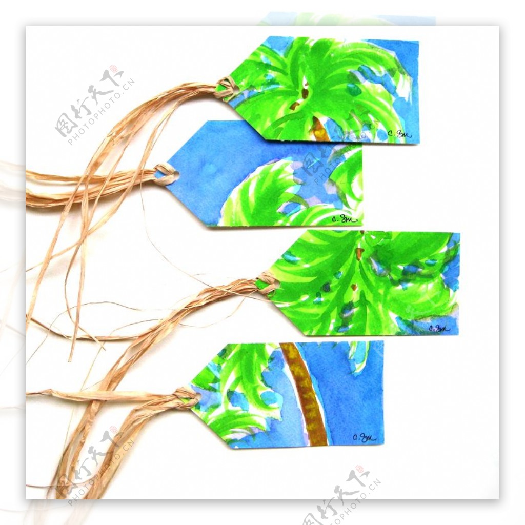 吊牌植物椰子树免费素材