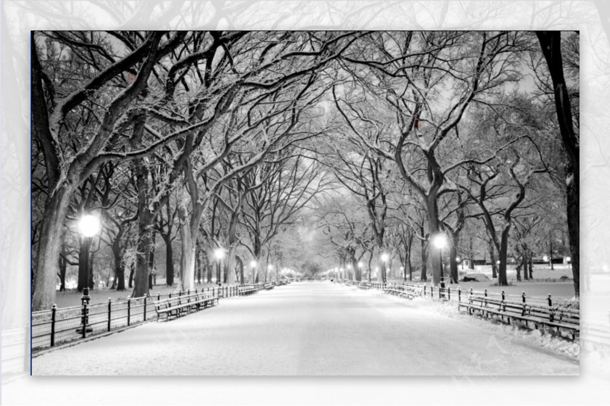 雪天风景黑白摄影图片