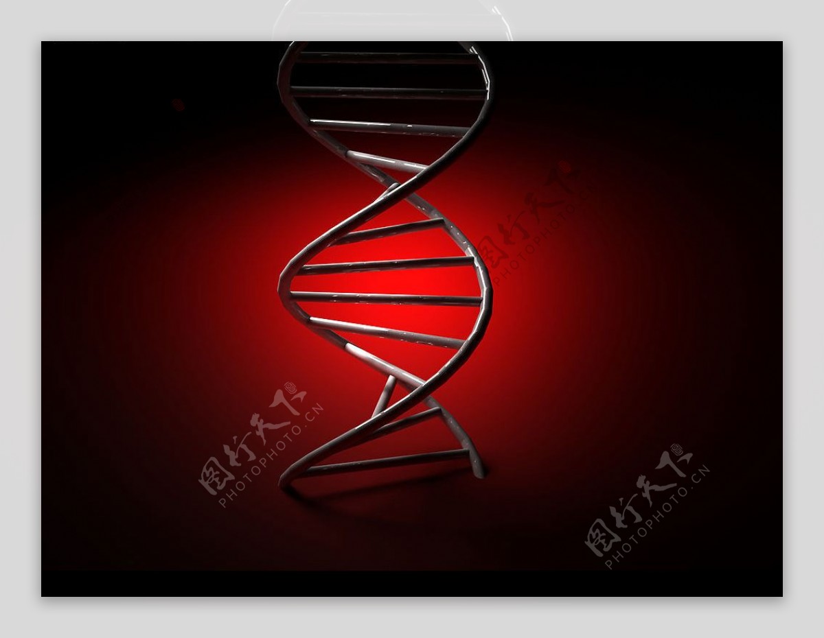 DNA亲子鉴定图片
