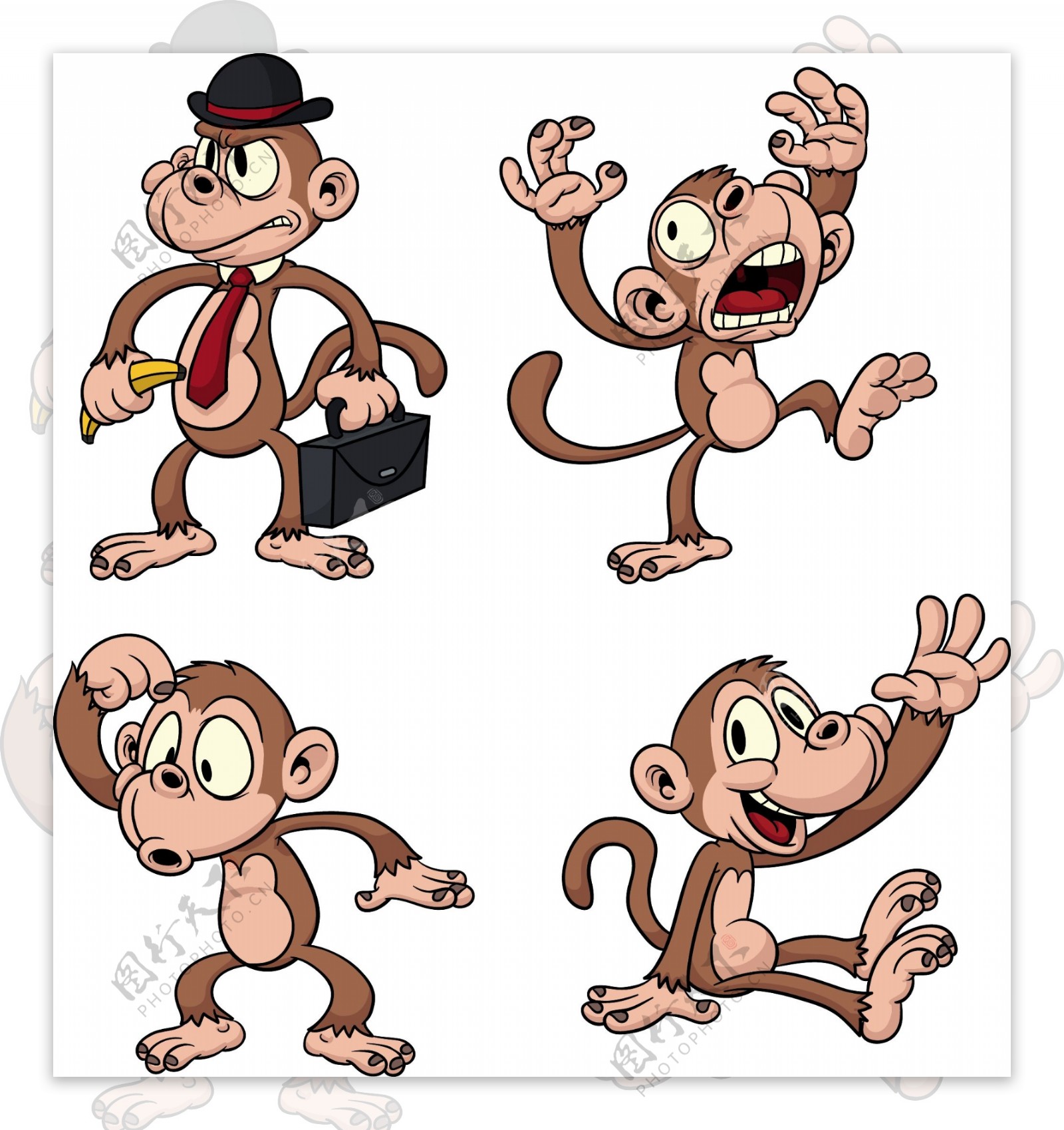 猴子矢量卡通图卡通图片
