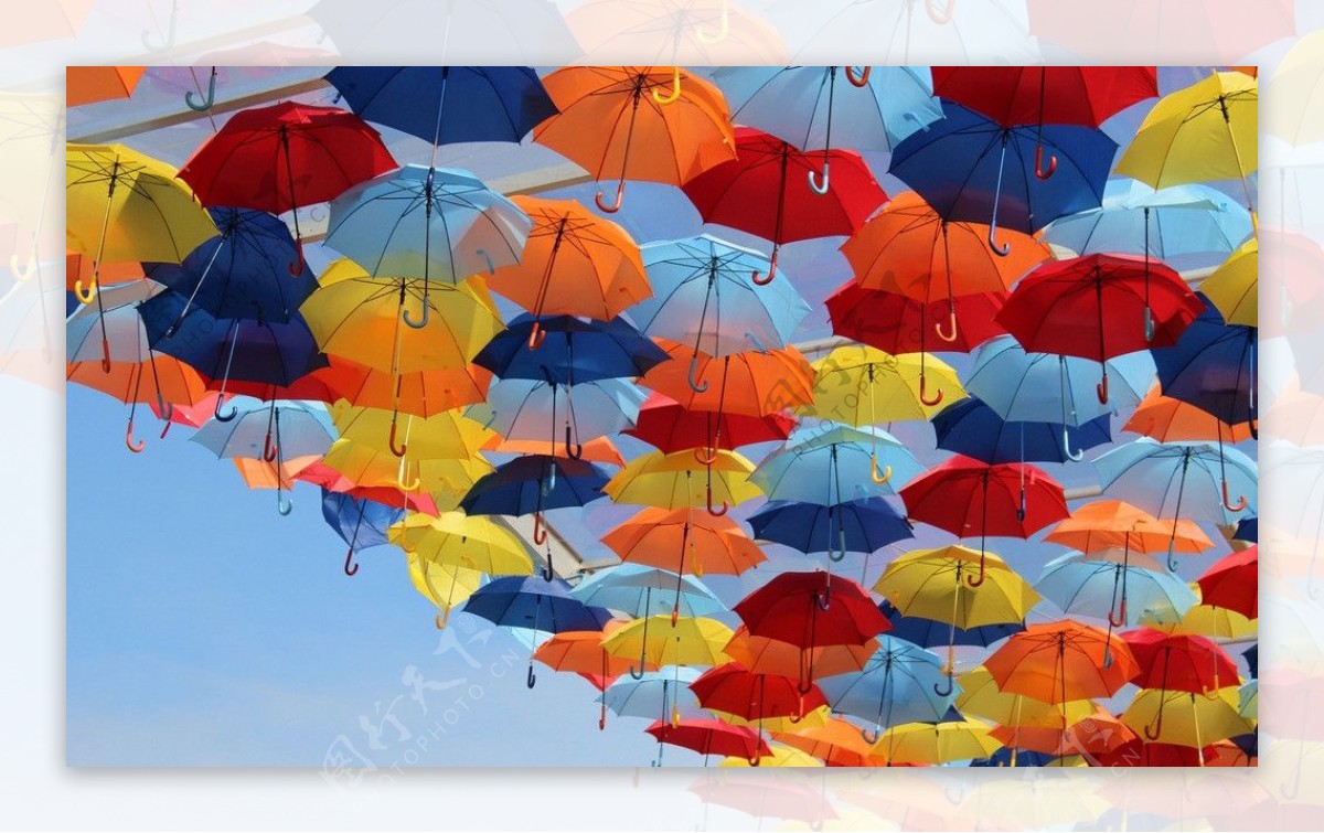 雨伞排列图片