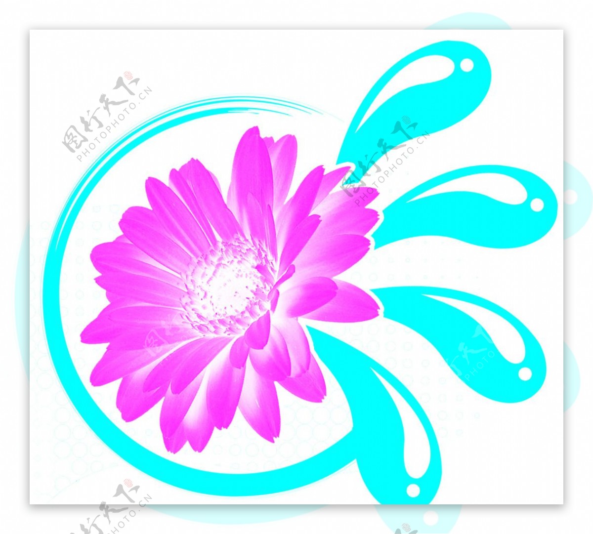 一朵蓝玫瑰花朵图片素材设计图__图片素材_其他_设计图库_昵图网nipic.com