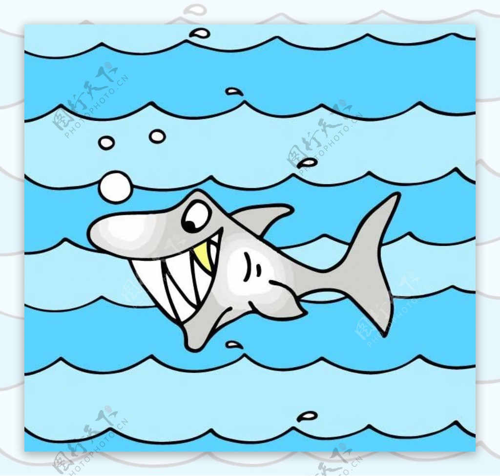 鲨鱼图片
