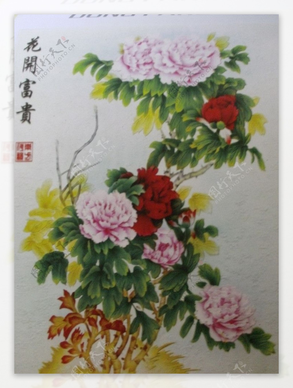 花开富贵线描图图片