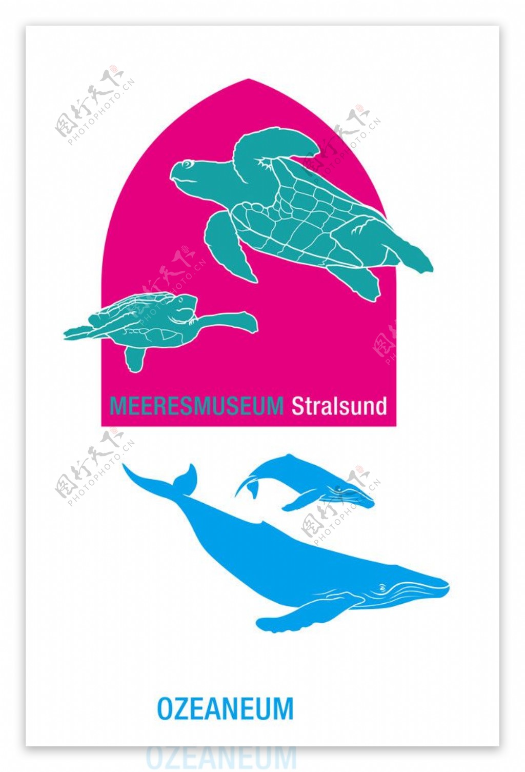乌龟海豚动物矢量图图片