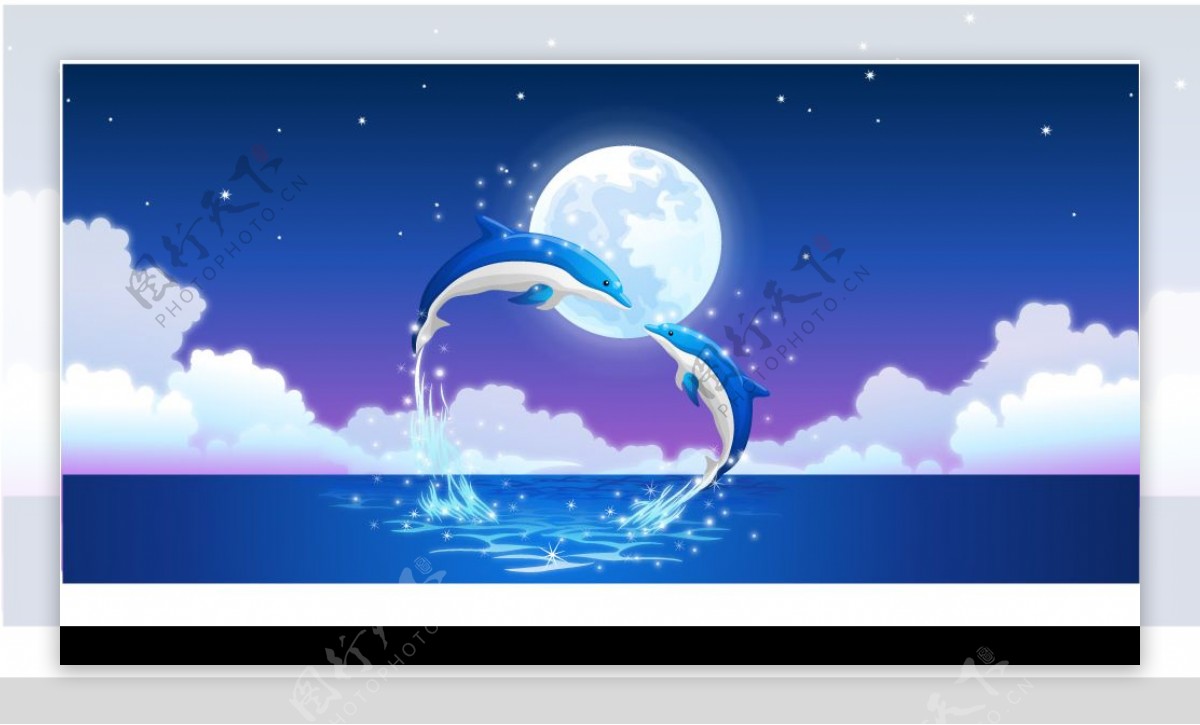 月光海豚图片