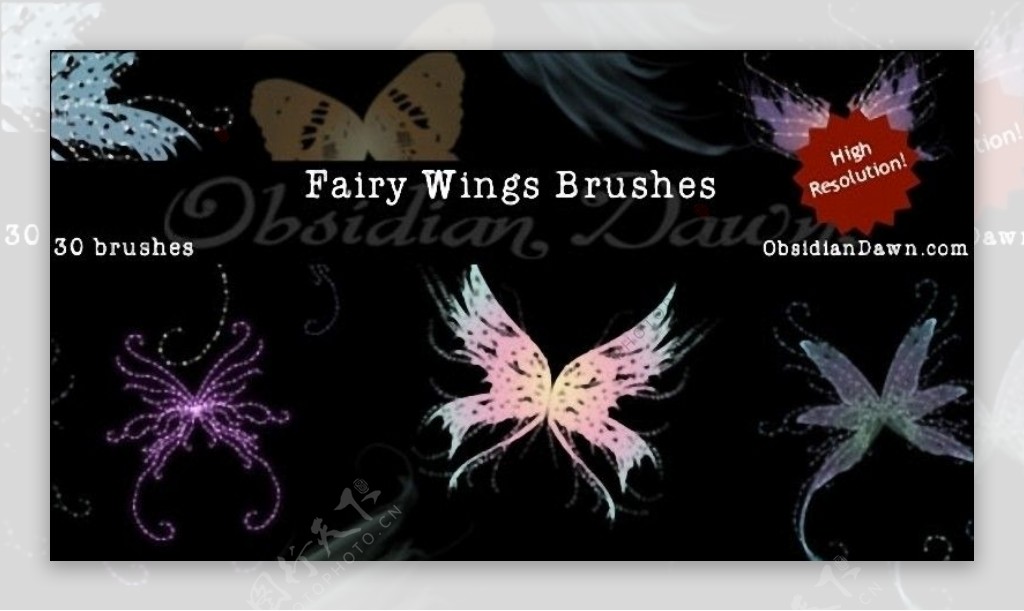 Photoshop天使翅膀笔刷fairywingsbrushes