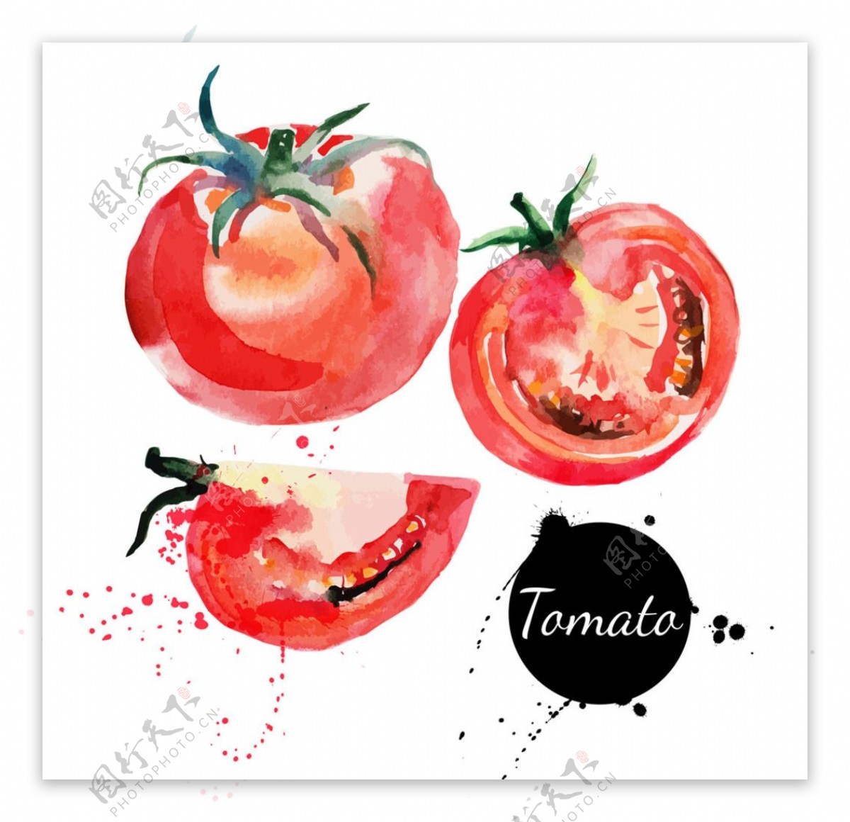 水彩蔬菜西红柿图片