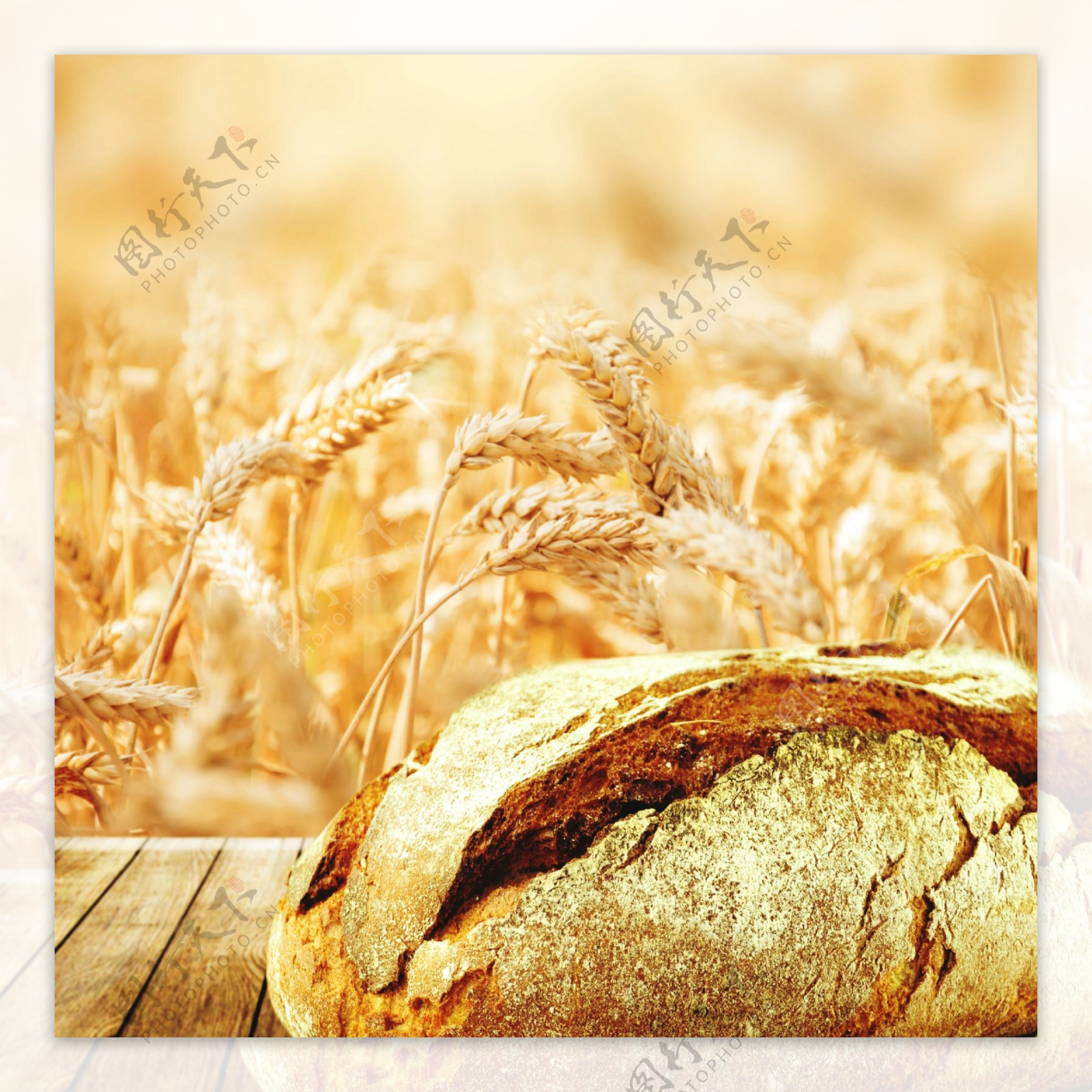 面包烤面包图片