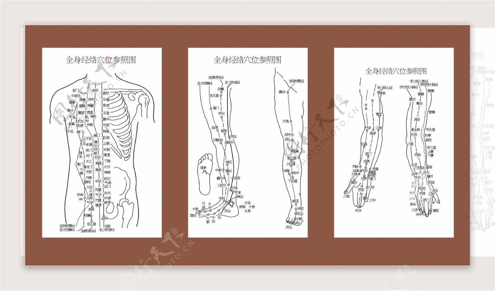 全身穴位经络参照图图片