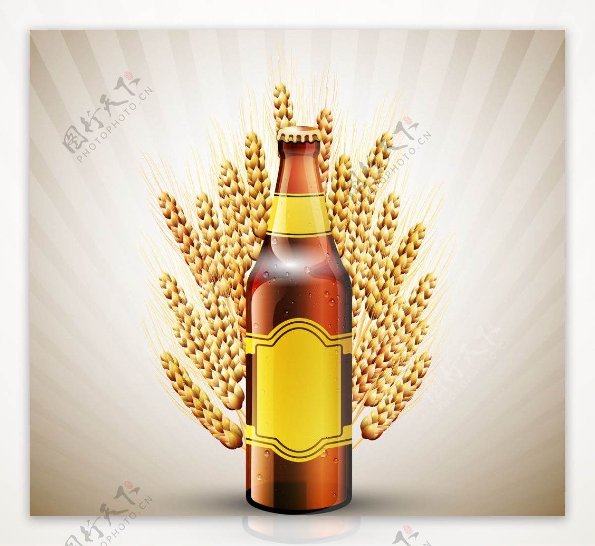 啤酒麦穗图片