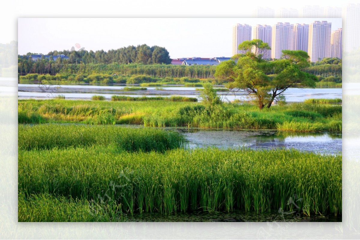 湖南长沙洋湖湿地公园 - 湿地与滨水景观 - 首家园林设计上市公司