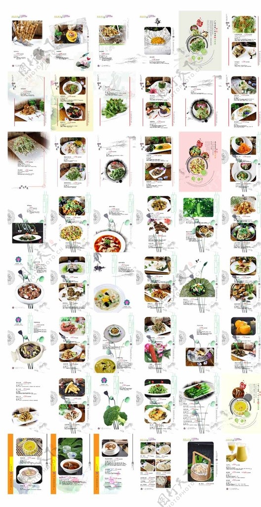 素食菜谱图片