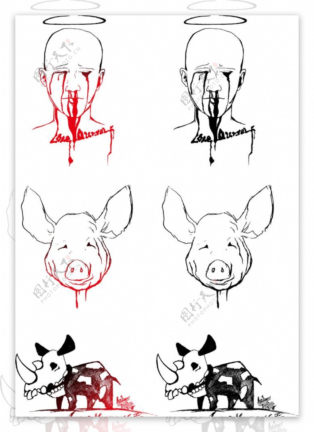 猪犀牛人流血图片