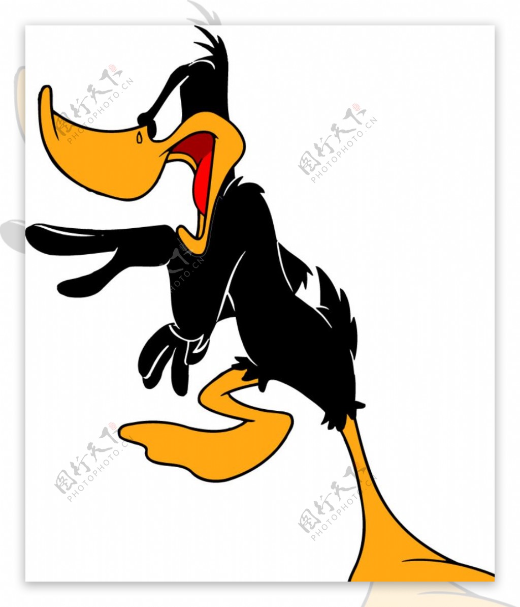 黑鸭子Daffy卡通图库图片