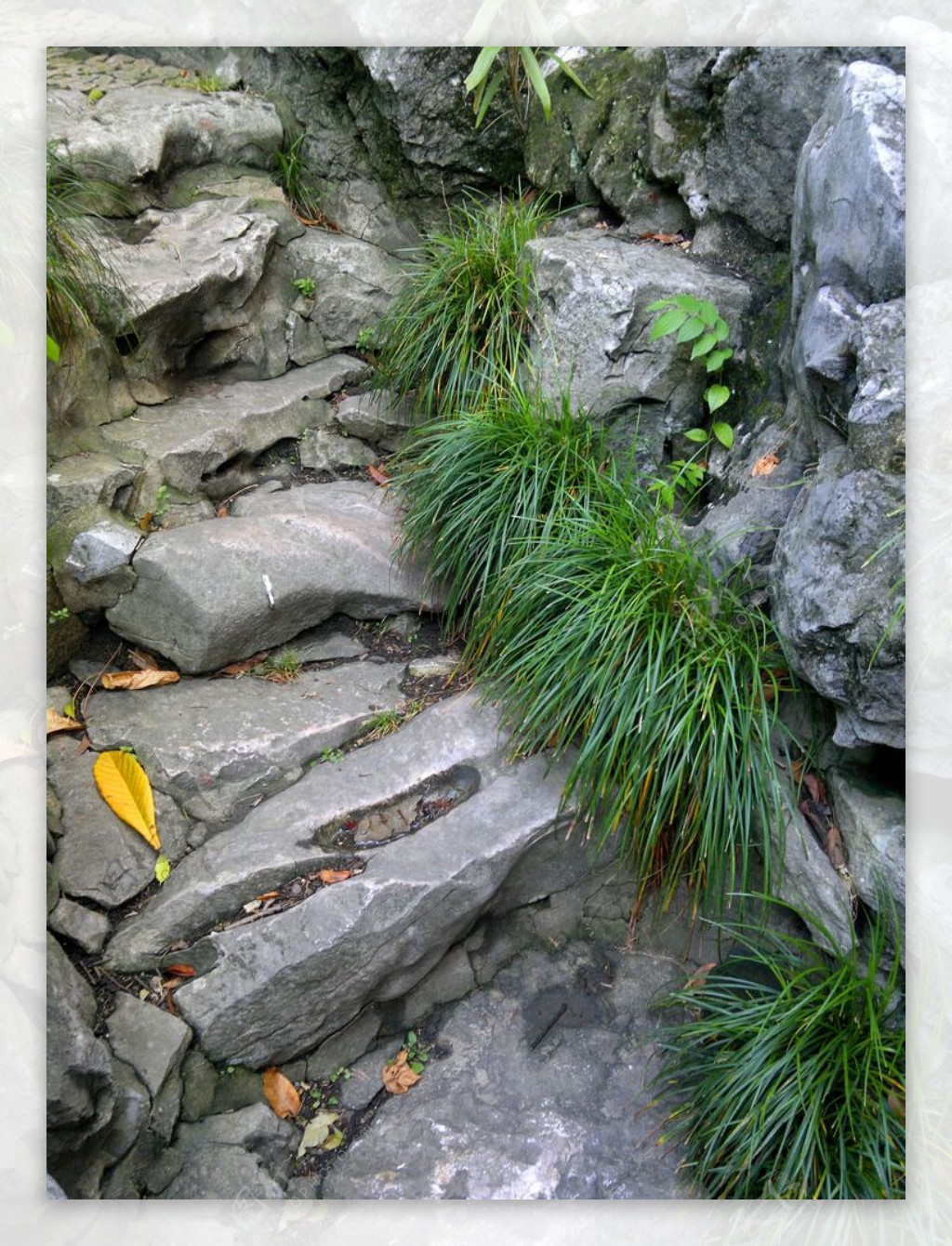 江南园林石头落叶图片