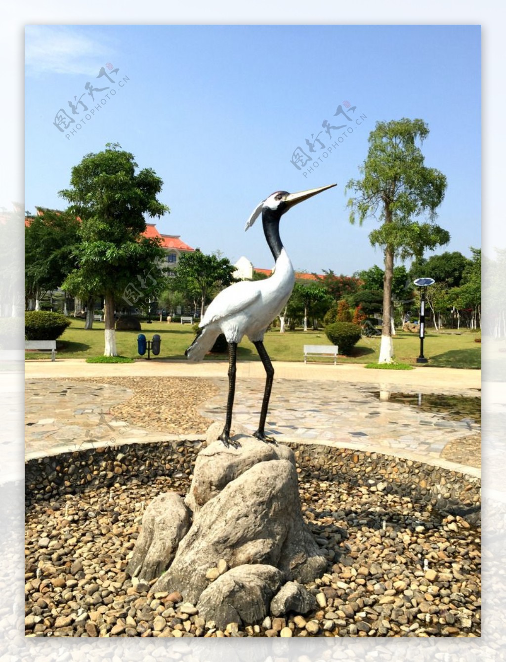 丹顶鹤雕塑图片