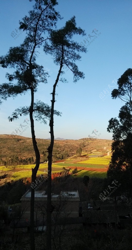 田园风景图片