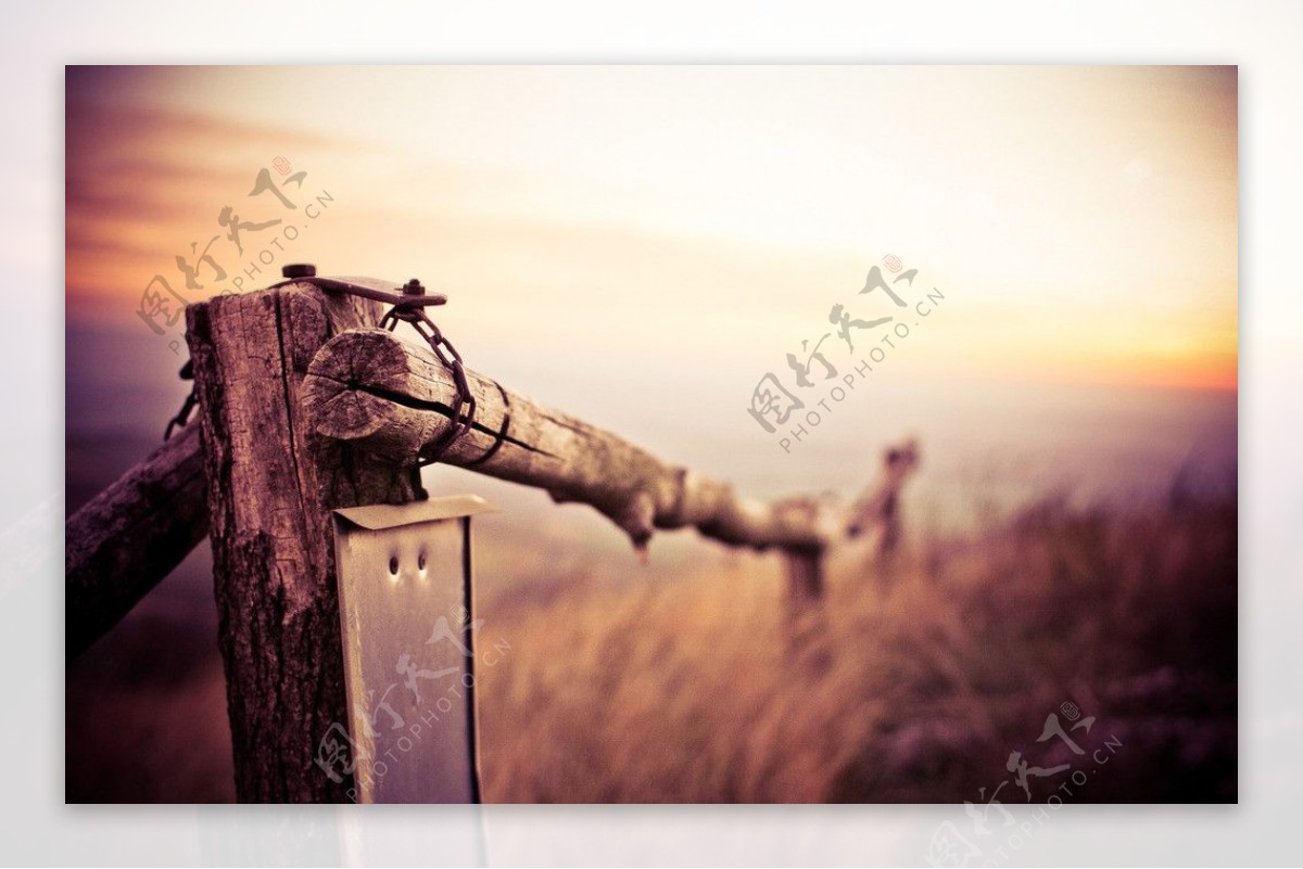 枯木篱笆栏杆图片