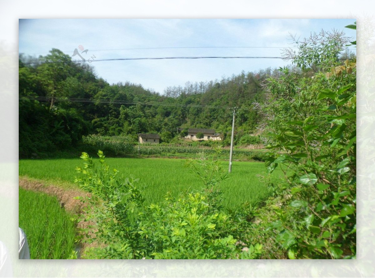 农村风景图片