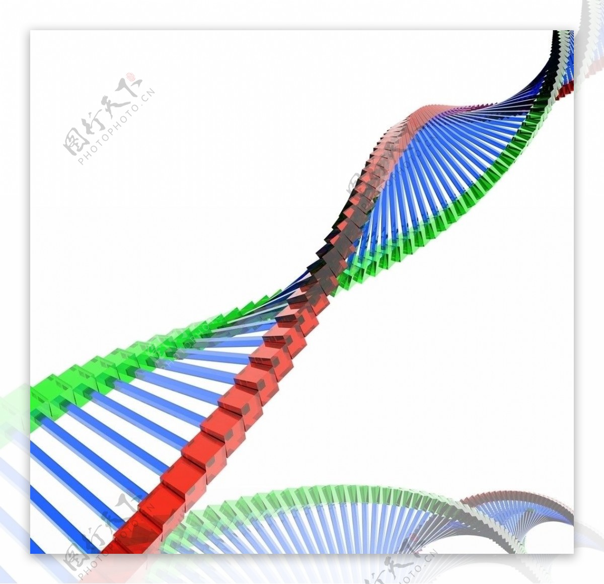 生物DNA双螺旋结构模型图片