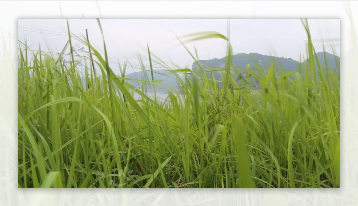 风吹草动湖面远山高清合集