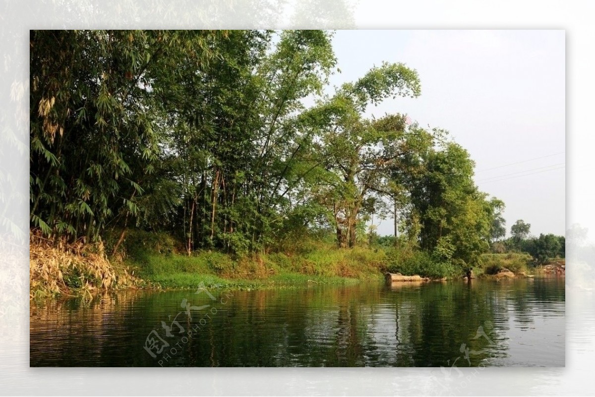溪水竹林图片