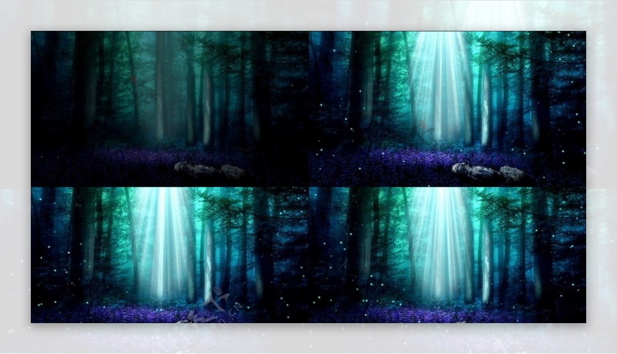 森林蓝色光线动态视频